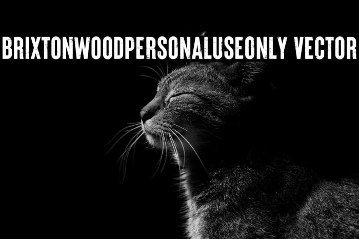 Brixton_Wood_PERSONAL_USE_ONLY Vector Example 3