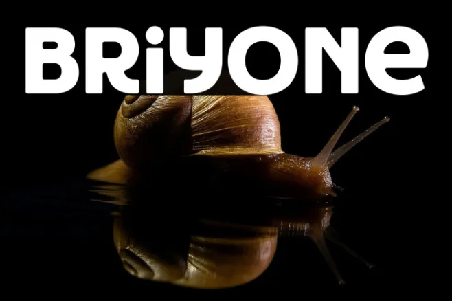 Briyone Example 2