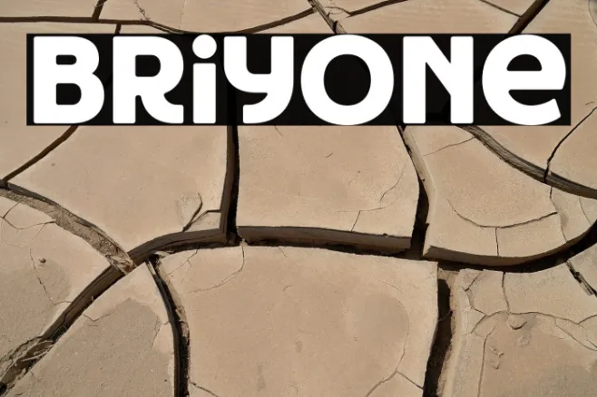 Briyone Example 3