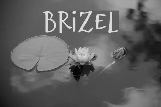 Brizel Font examples
