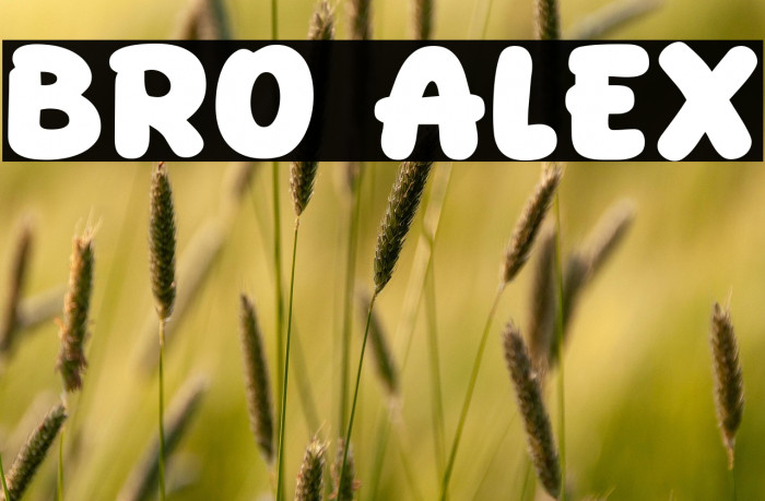 Bro Alex Example 2