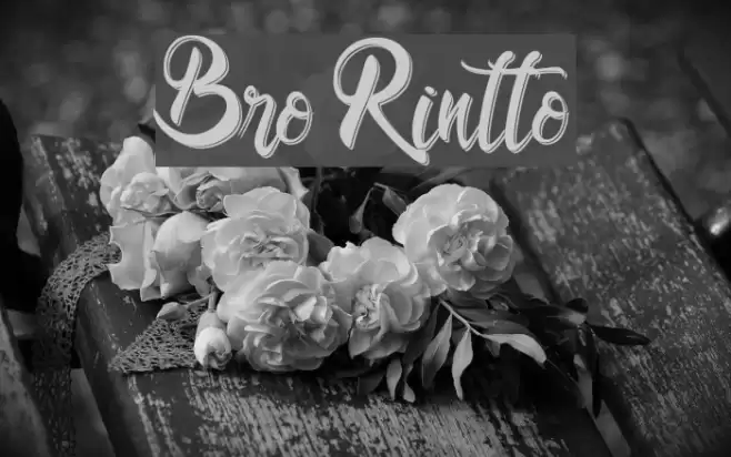Bro Rintto Font examples