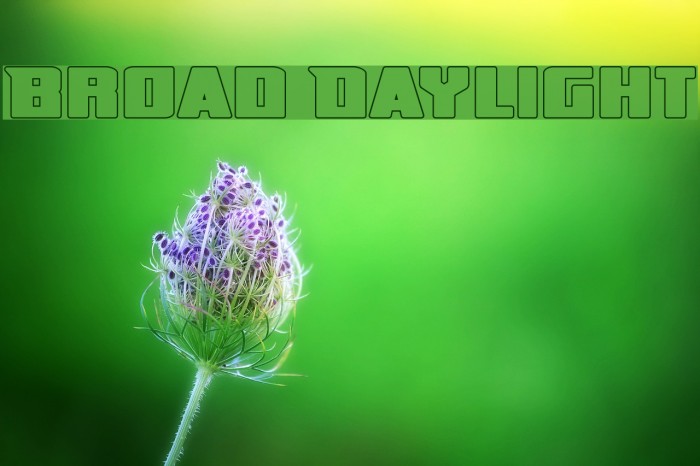Broad Daylight フォント examples