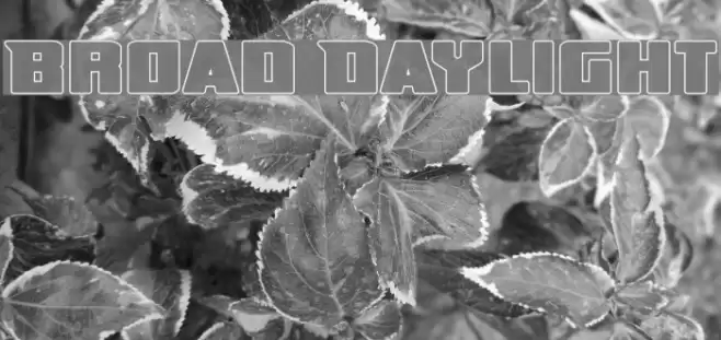 Broad Daylight フォント examples