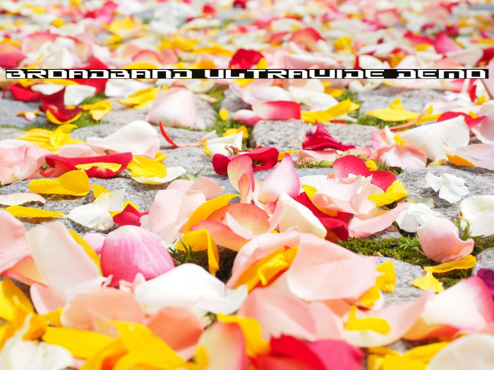 Broadband Ultrawide DEMO Example 2