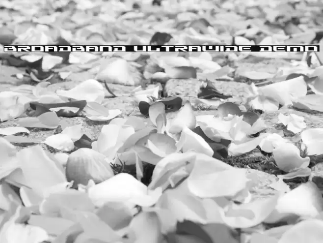 Broadband Ultrawide DEMO Font examples