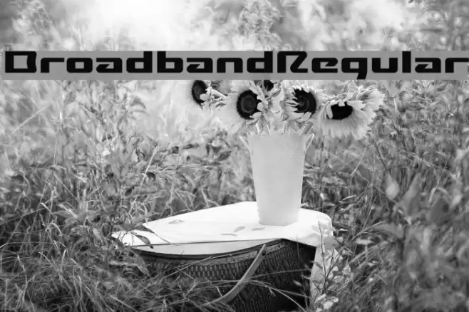 BroadbandRegular Font examples