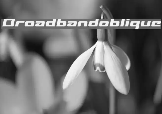 Broadbandoblique Font examples