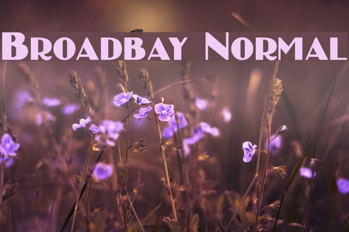 Broadbay Normal Example 2