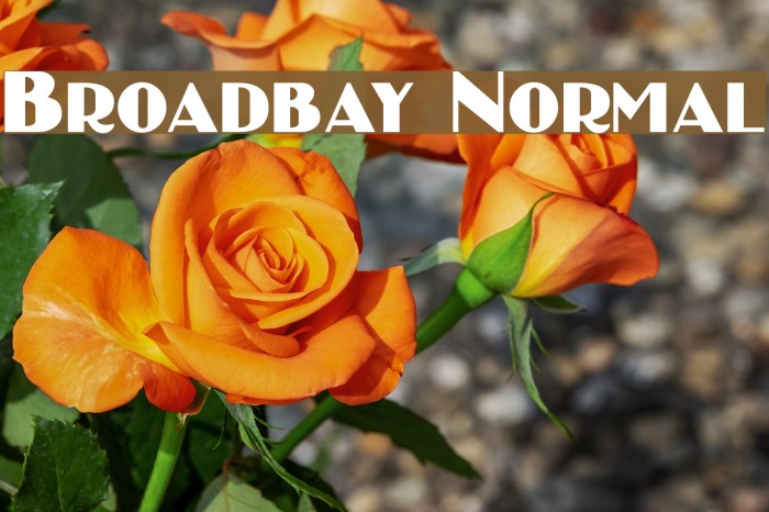 Broadbay Normal Example 3