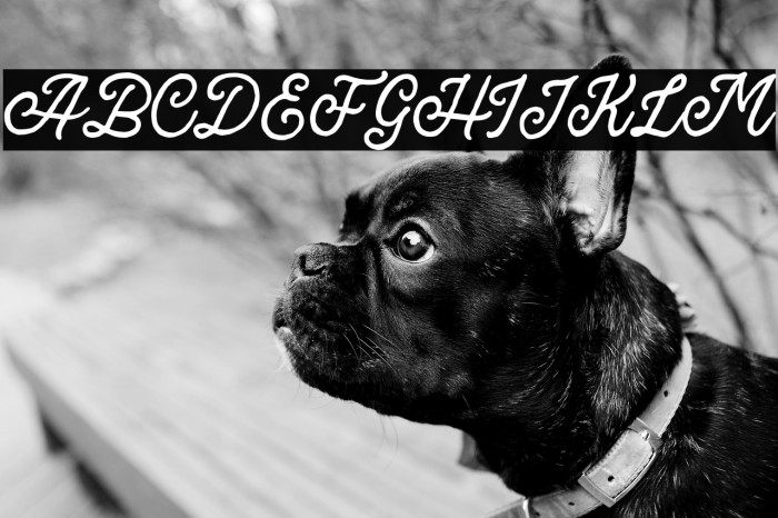 BroadleyScriptDEMO Example 1