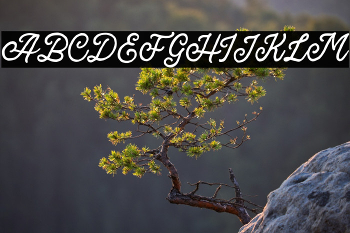 BroadleyScriptDEMO Example 2