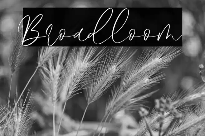 Broadloom Font examples