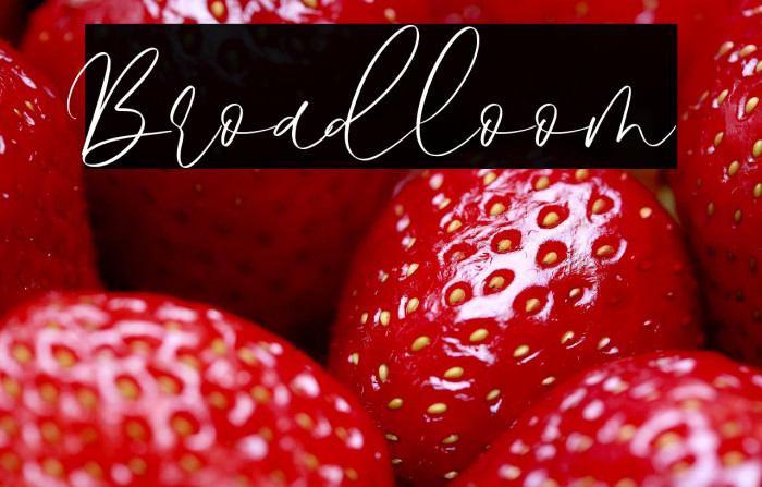 Broadloom 字体 examples