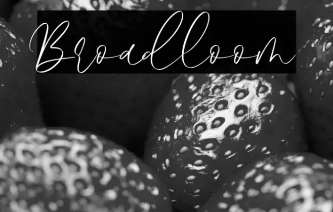 Broadloom Font examples