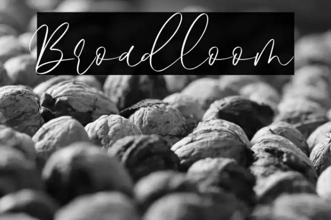Broadloom Font examples