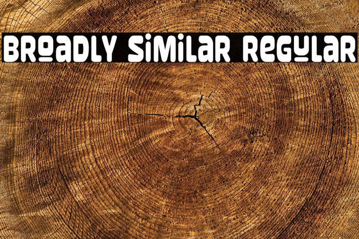 Broadly Similar Regular Example 1
