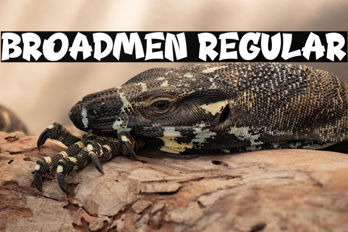 Broadmen Regular Example 2