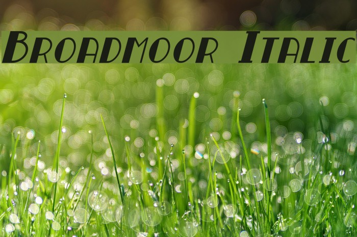 Broadmoor Italic Font examples