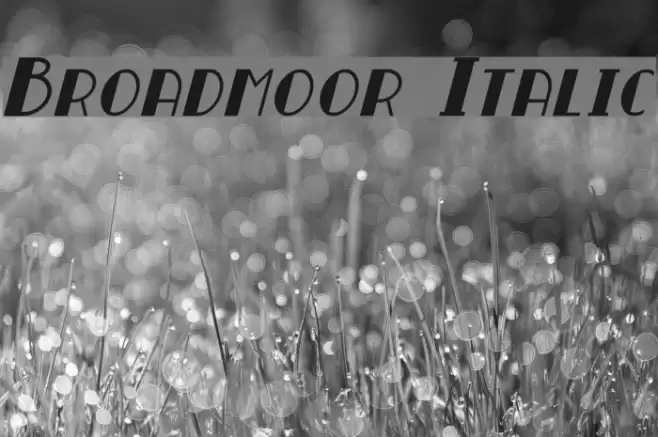Broadmoor Italic خط examples