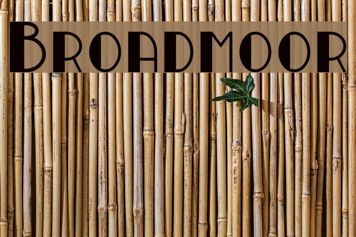 Broadmoor Font examples