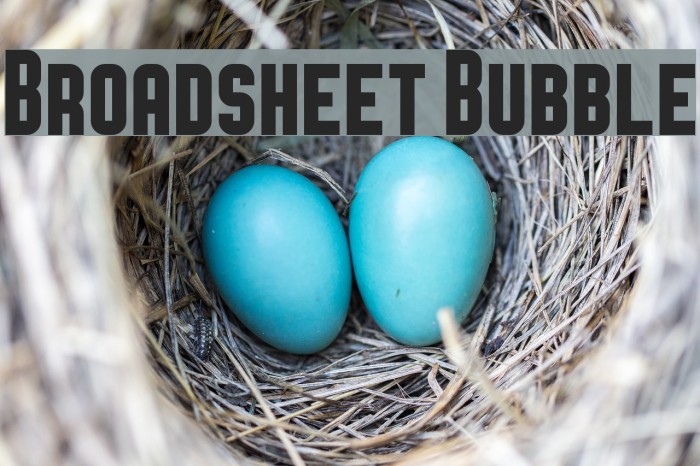 Broadsheet Bubble Font examples
