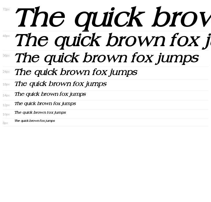 Broadsheet LDO Bold Italic Waterfall