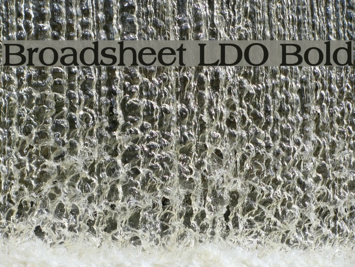 Broadsheet LDO Bold Font examples