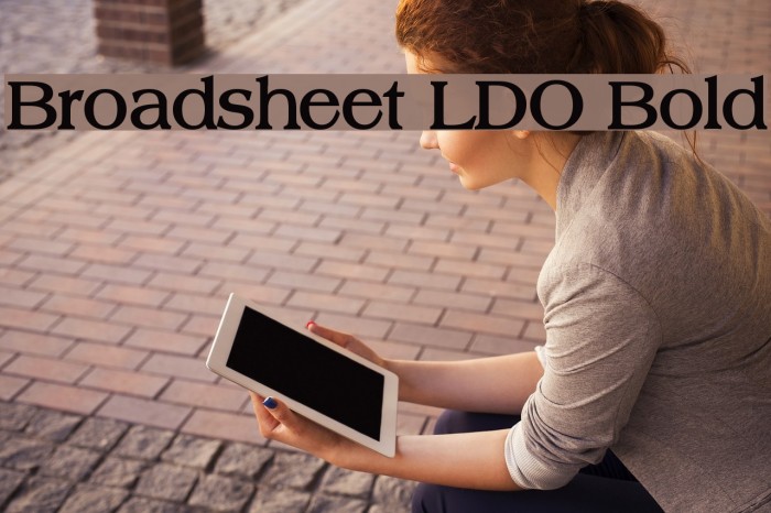 Broadsheet LDO Bold Font examples