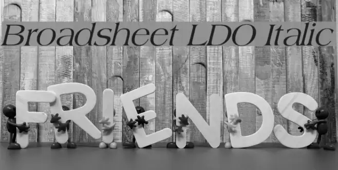 Broadsheet LDO Italic Font examples