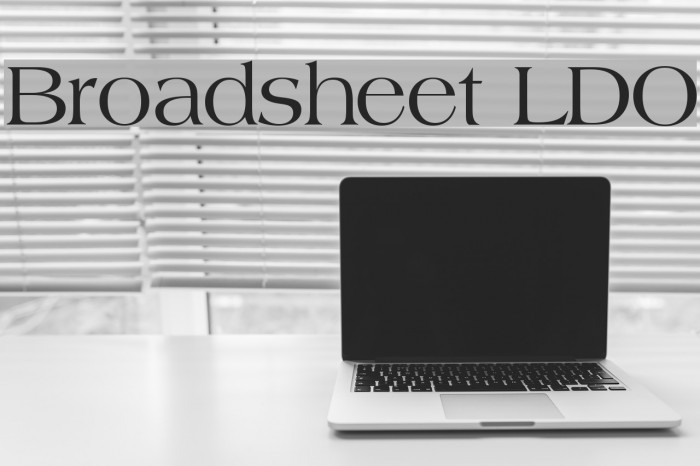 Broadsheet LDO Font examples