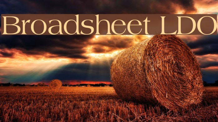 Broadsheet LDO Font examples