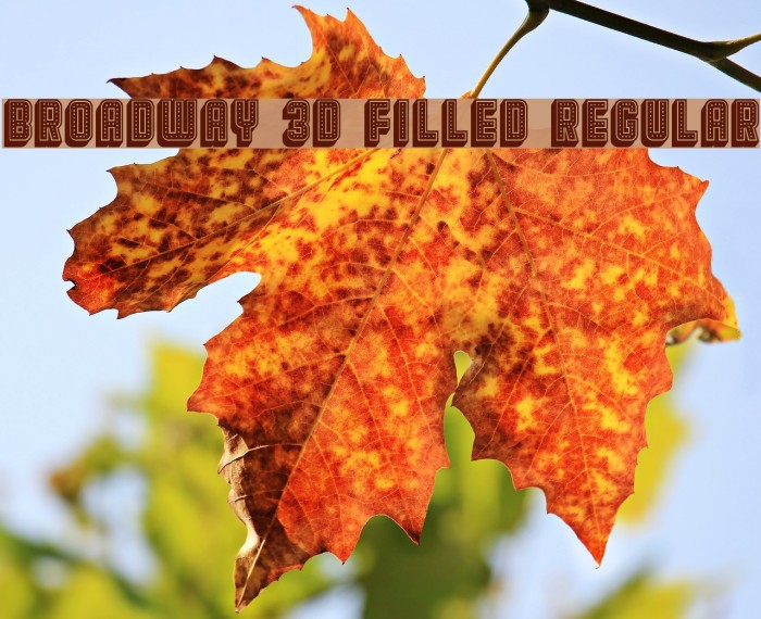 Broadway 3D Filled Regular Example 3