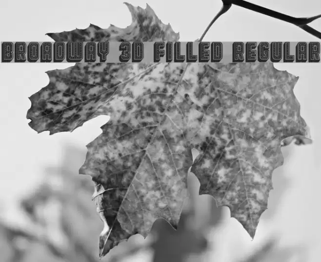 Broadway 3D Filled Regular Font examples