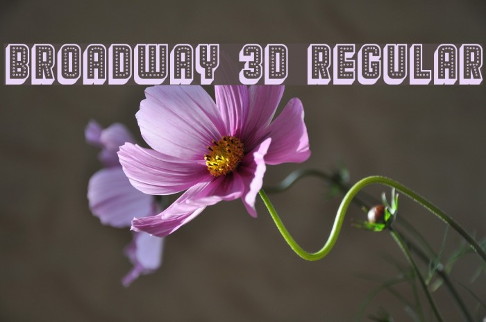 Broadway 3D Regular Font examples