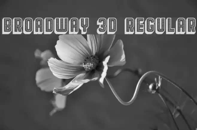 Broadway 3D Regular Font examples