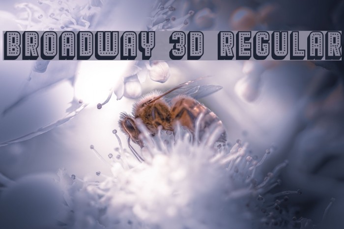 Broadway 3D Regular Font examples