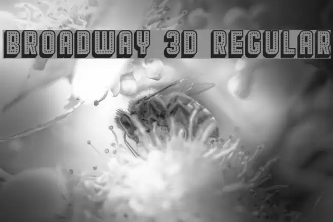 Broadway 3D Regular Font examples