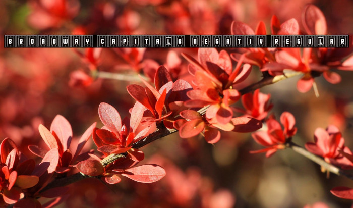 Broadway Capitals Negativ Regular Example 1