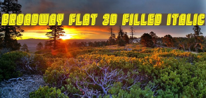 Broadway Flat 3D Filled Italic Font examples