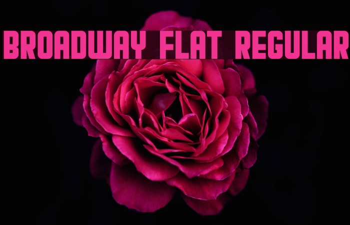 Broadway Flat Regular Font examples