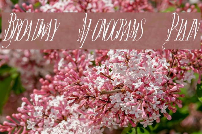 Broadway Monograms Plain Font examples