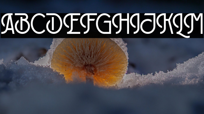 Broadway Regular Example 1