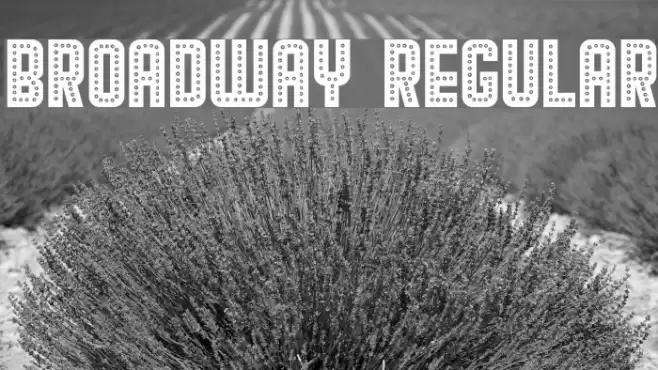 Broadway Regular Font examples