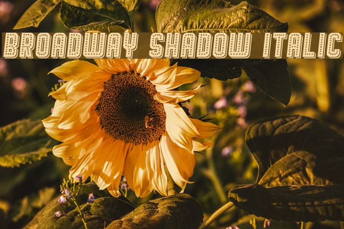Broadway Shadow Italic Font examples