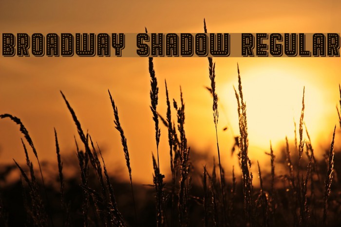 Broadway Shadow Regular Font examples