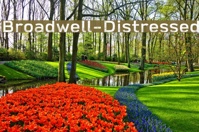 Broadwell-Distressed Example 1