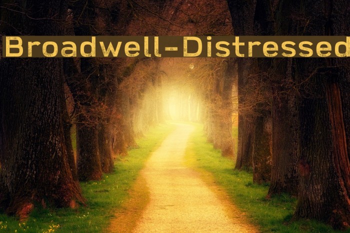 Broadwell-Distressed Example 2