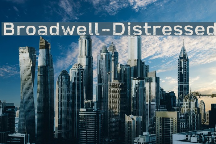 Broadwell-Distressed Example 3