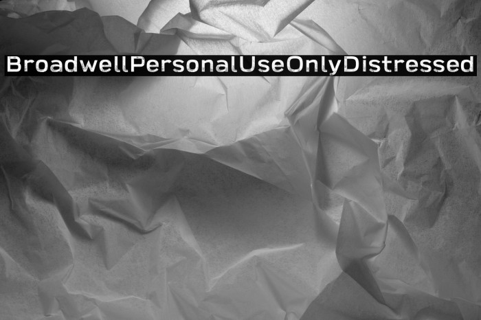 Broadwell-Personal-Use-Only-Distressed Example 2